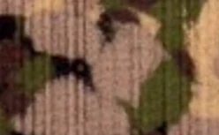 Army Camo decking color