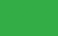 Green decking color