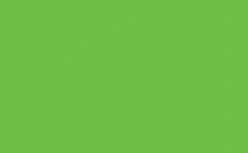 Lime Green decking color